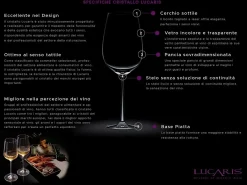 Calice Beaujolais Shanghai Soul