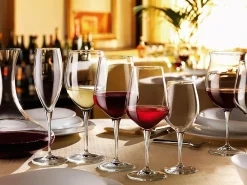 Calice Montepulciano Premium