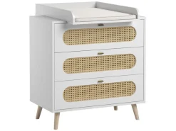 Cassettiera Canne
