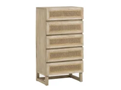Cassettiera Rexter 60x113