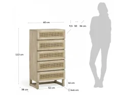 Cassettiera Rexter 60x113
