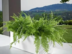 Fioriera Mini Kube