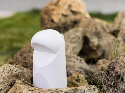 Lampada Marmotta con Kit Luce