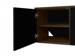 Mobile Tv Albi