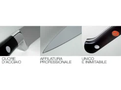 Set 6 Coltelli da bistecca Apollo lisci