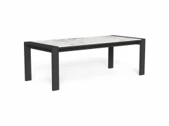 Tavolo da Pranzo Argo/Alu 280x100