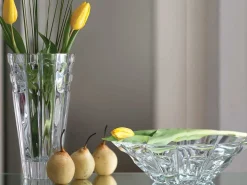 Vaso Aster