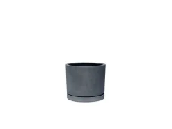 Vaso Baltimora