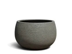 Vaso Bosa