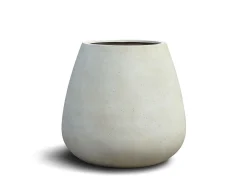 Vaso Brisbane