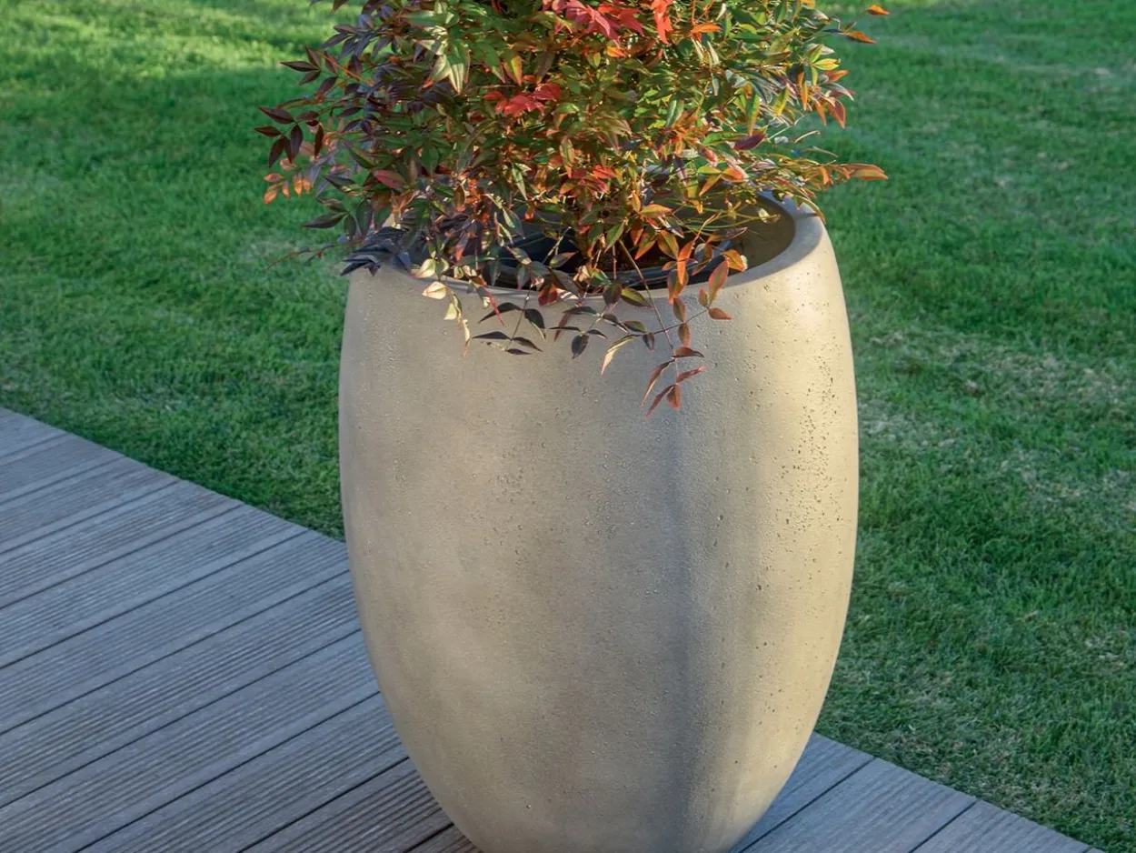 Vaso Cisa