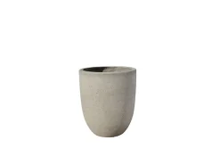 Vaso Cisa