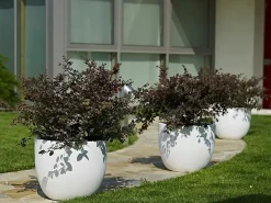 Vaso Etria 74
