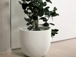 Vaso Etria 74