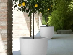 Vaso Etria 34