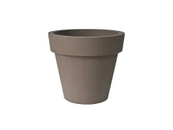 Vaso Ikon 50