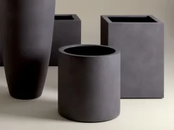 Vaso Indianapolis