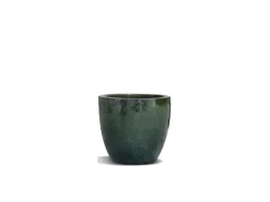Vaso Moster