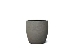 Vaso Pula